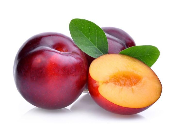 برقوق